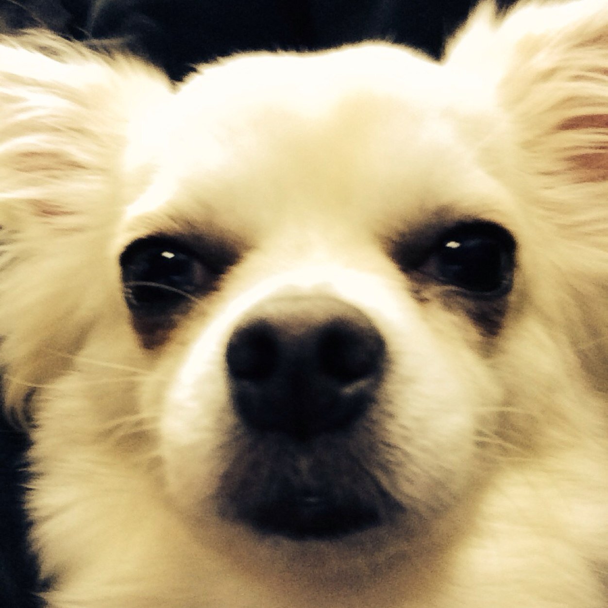 ComAruyo's profile picture. 