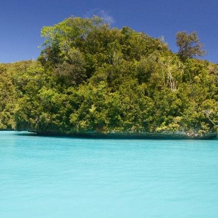 YourPalauNC's profile picture. http://t.co/RvntKqEmo2 on Palau