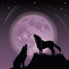 RobitoRuby's profile picture. 