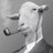 HamishBanter's profile image