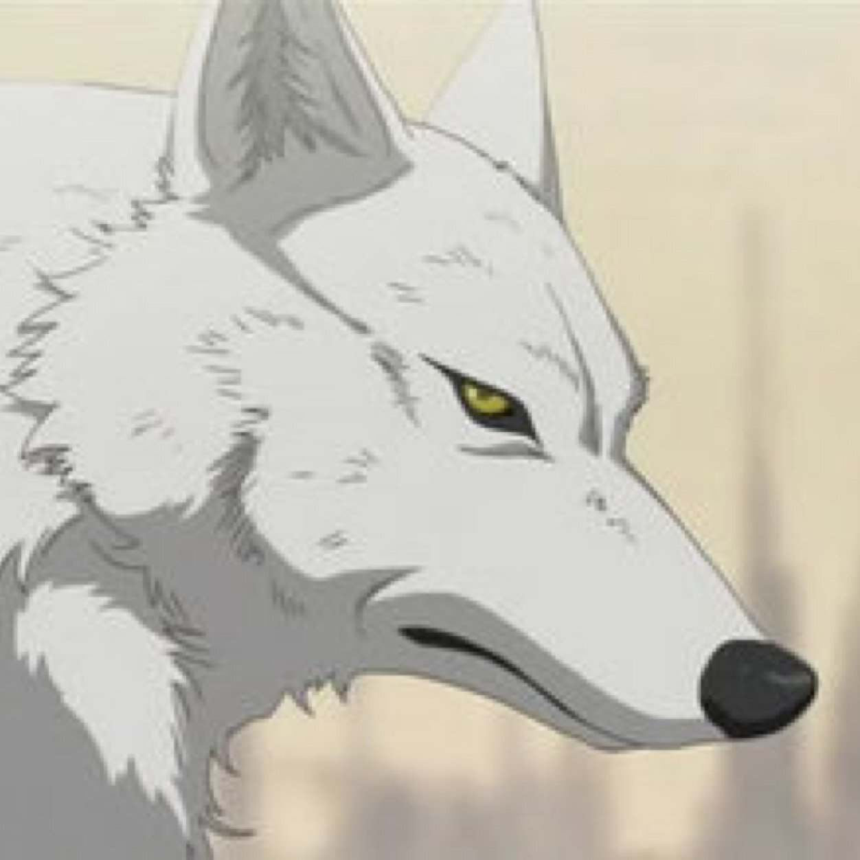 WolfsRainKiba_'s profile picture. Names kiba. My family i protect are the TMNT & Wolf family. You hurt them and ill hurt you #RP #Multiverse #Taken: @Blue_the_Killer