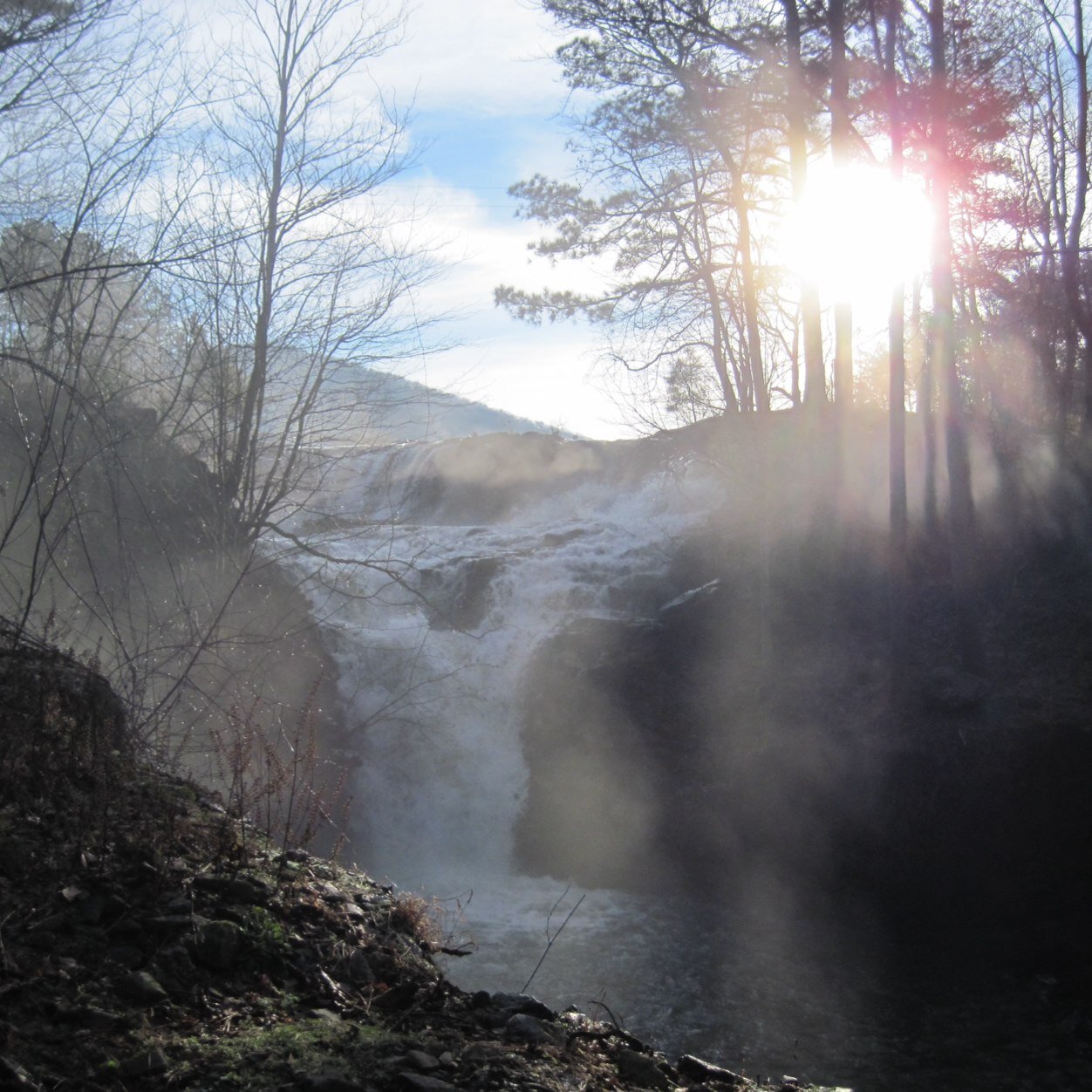 Love outdoors and nature
