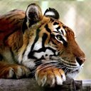 John Rorrer - @kindred7_ - Twitter