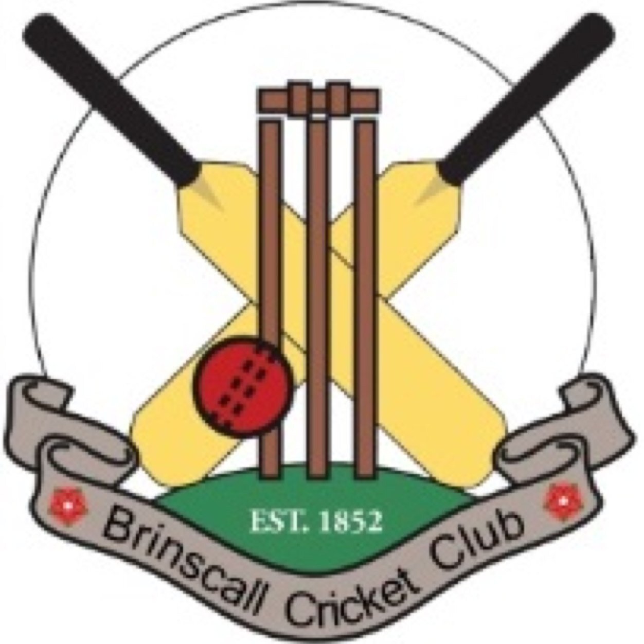 Brinscall Cricket Profile