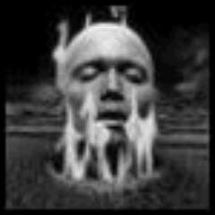 Millisssa's profile picture. Бухгалтер