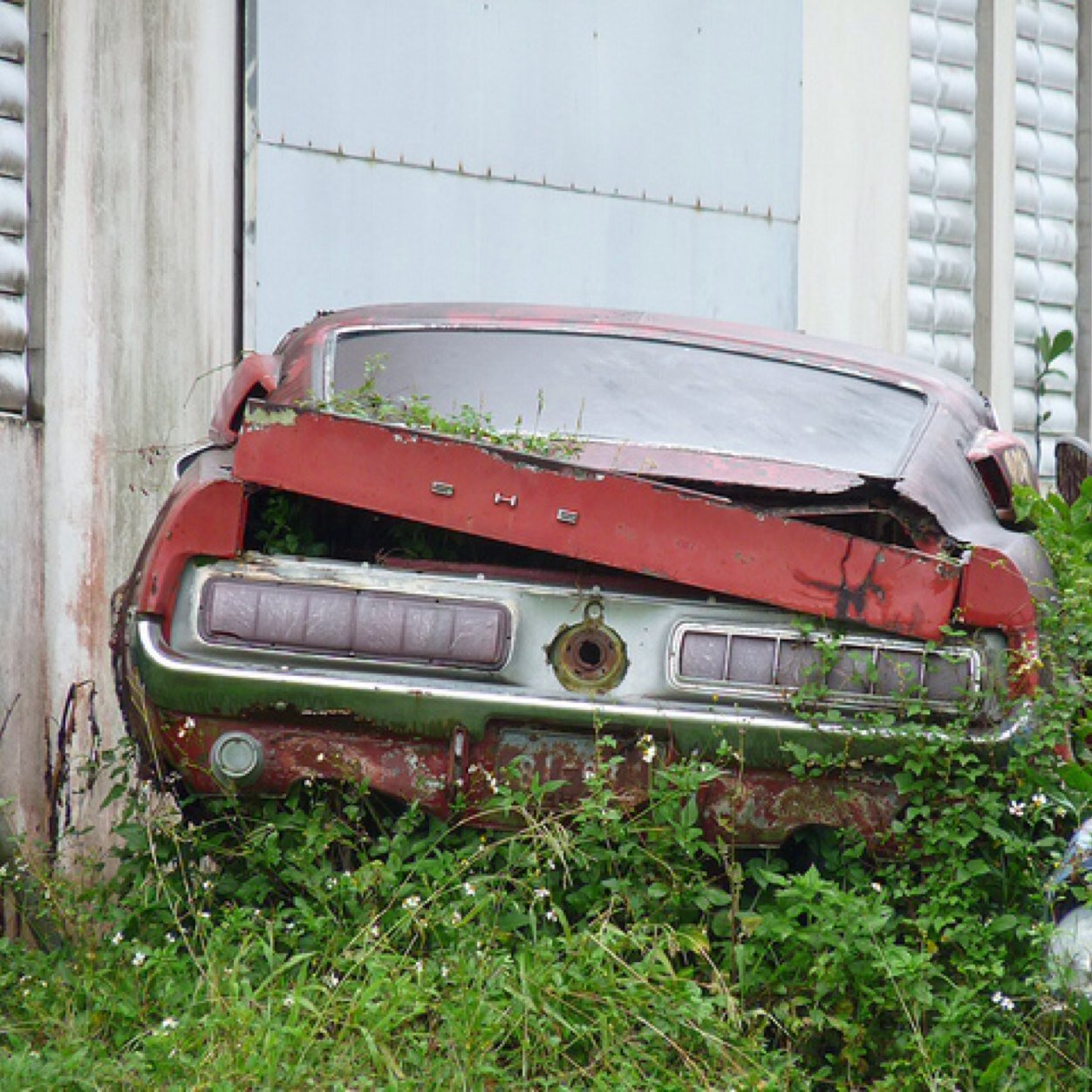 Tag me in pics of your as found forgotten cars to get a follow. Check out @stangpicsdaily and @silveradopics | Personal: @78mustangman