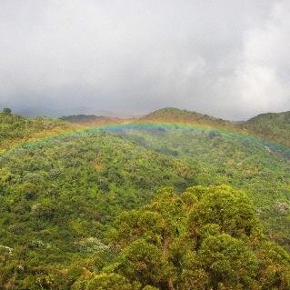 http://t.co/RvntKqEmo2 on PuertoRico