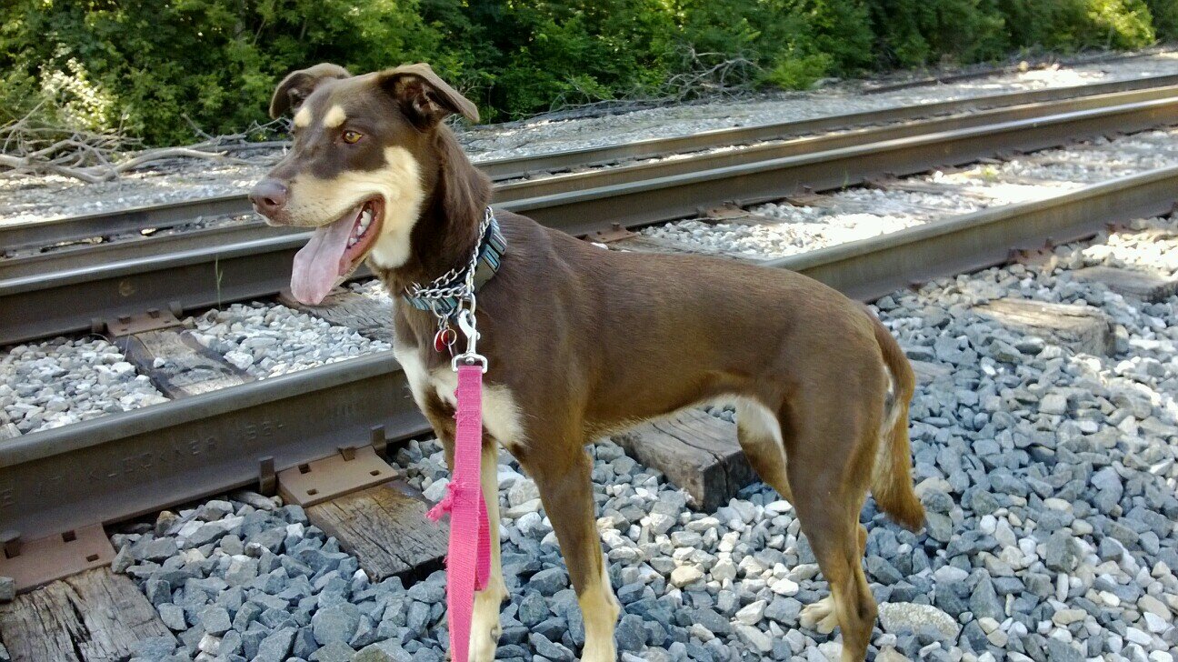 NanceCrockett's profile picture. Amazed how God loves me. Blessed with the boys He's loaned to me.