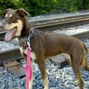 Nancy Crockett - @NanceCrockett - Twitter