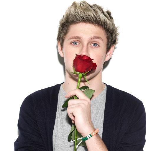 one direction and 5sos are my faves.