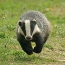 Kevin Corr - @kingbadger80 - Twitter