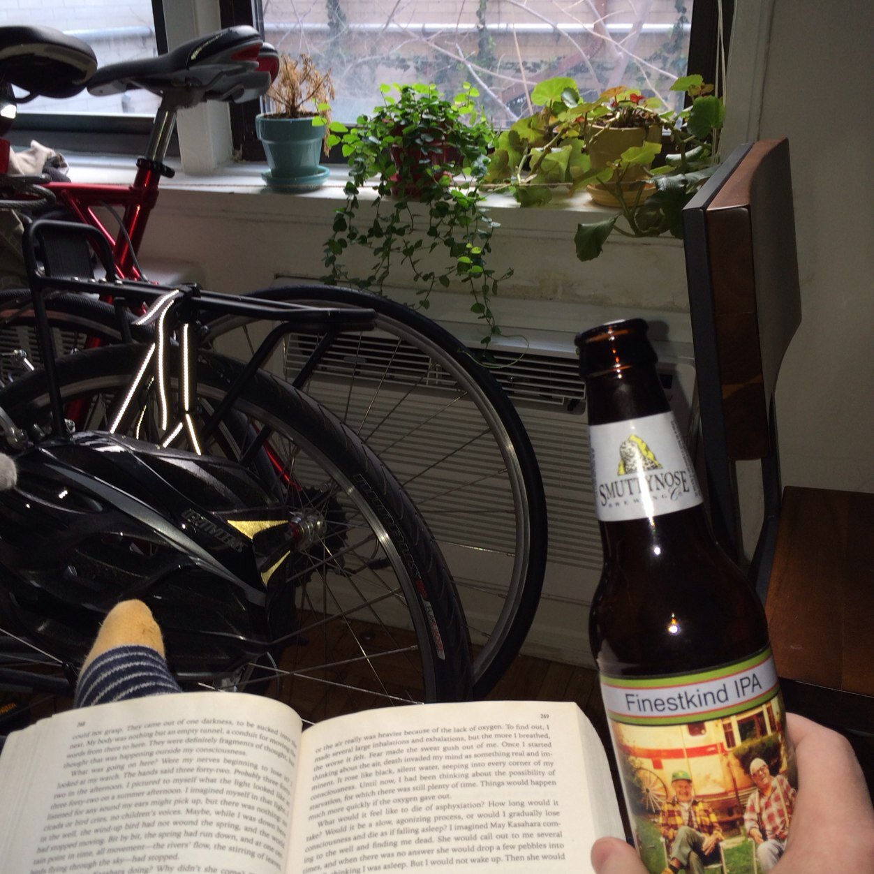 bookbikebeer's profile picture. 