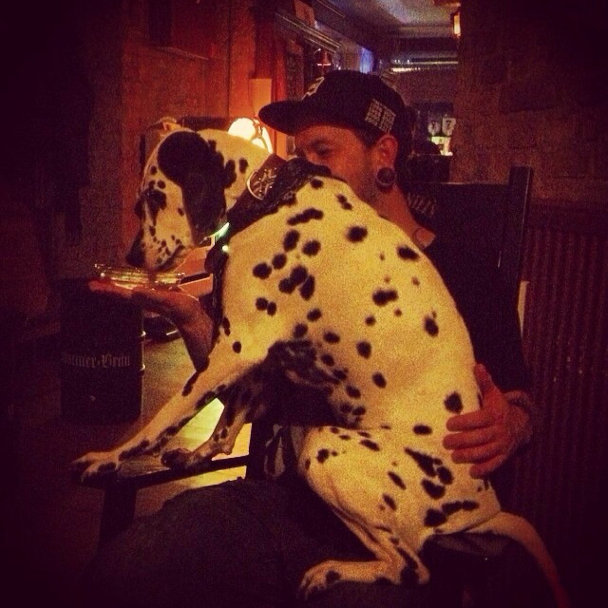Dedicated to dogs who love hanging out in bars and the owners who love going to bars with their dogs.