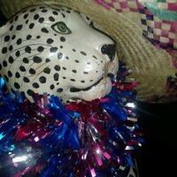 Rocce Stuttgart (@rocce1893) Twitter profile photo