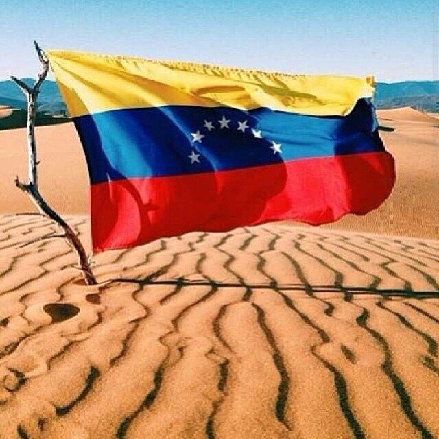 Lgmako's profile picture. El tuiter me dejo sin BIO pero tengo mi TL.   VINOTINTO Y MARACUCHO