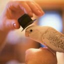 Talal Abdullah - @talal111abd - Twitter