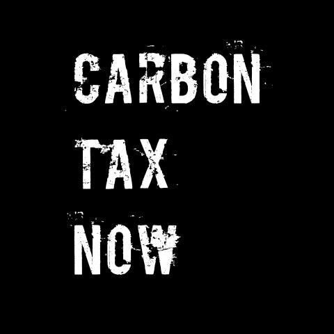 To slow and reverse climate change by generating and leveraging public support for emission reduction policies globally. Learn more on our website below.