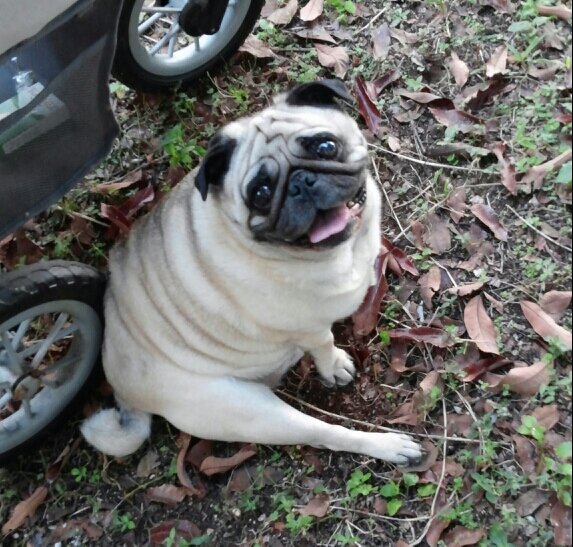 LKranick's profile picture. 