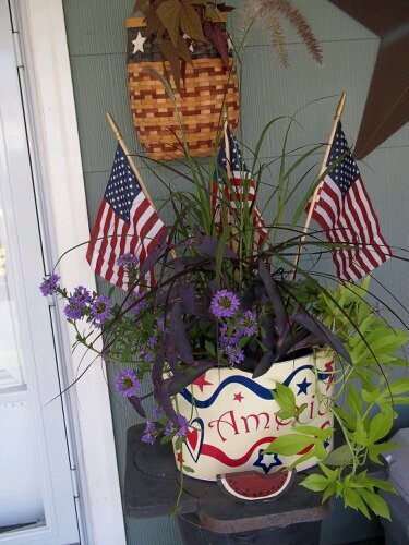 TammiAmick's profile picture. 