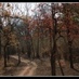 C. Balachandran (@balachandhranc) Twitter profile photo C. Balachandran (@balachandhranc) Twitter profile photo