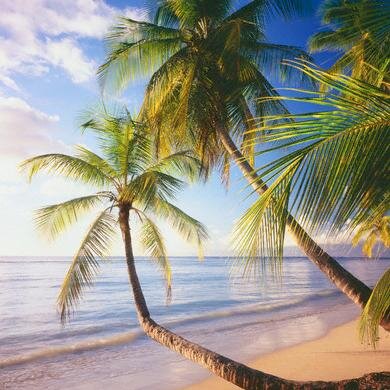 http://t.co/RvntKqEmo2 on Tobago