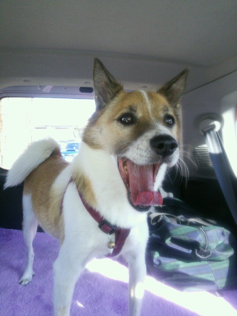 rock5089's profile picture. 動物大好き🍀😌🍀