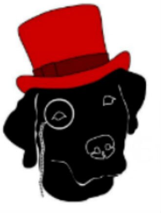 blacklabevents's profile picture. Creating unique experiences with lasting memories., Black Lab Entertainment is there for you to customize and cater to your event’s needs.