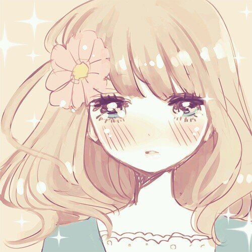 🌺🌺