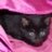 animallover2435's profile image