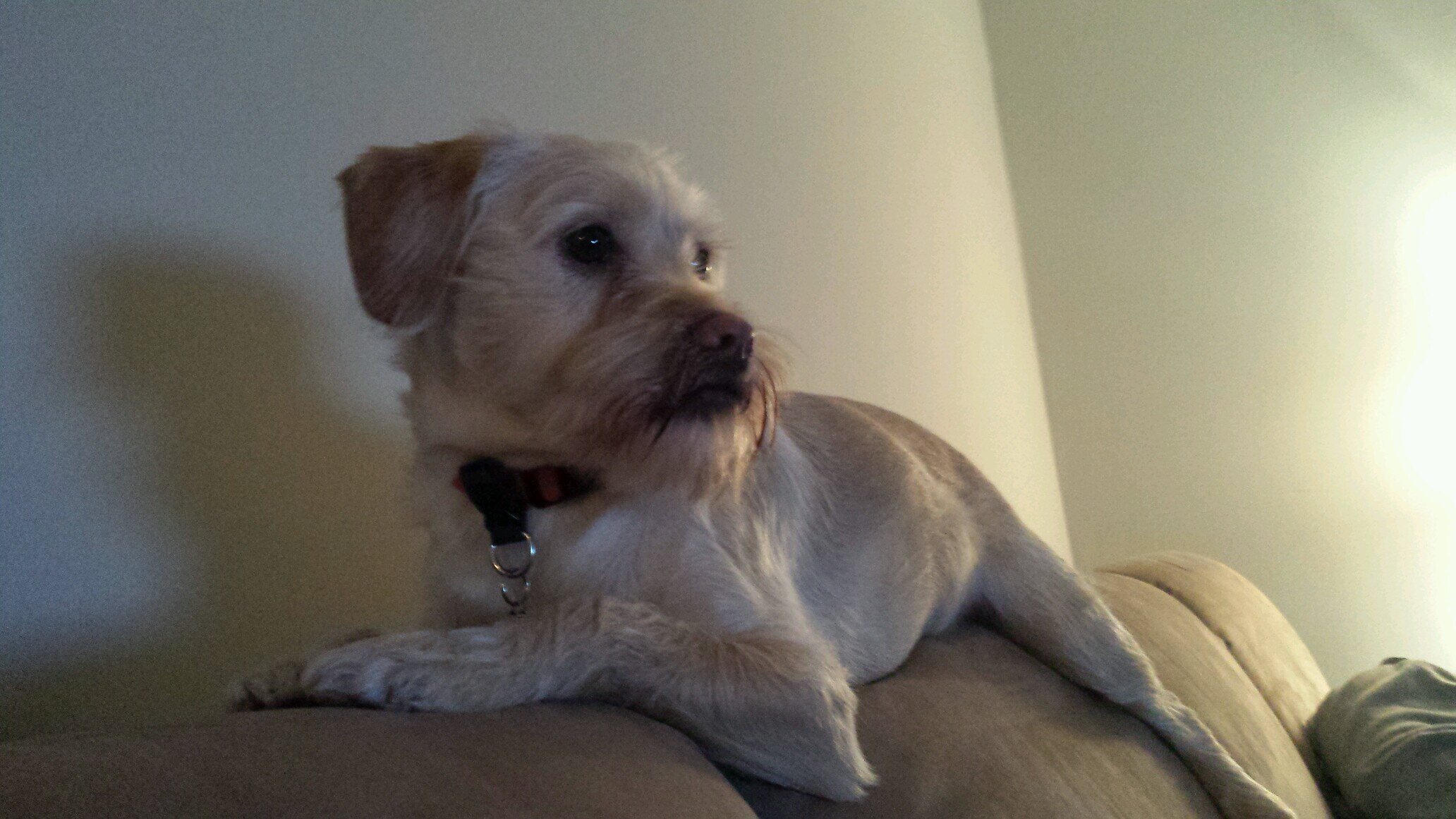 kdfloh's profile picture. 