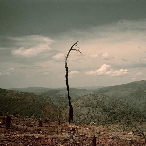 YourUgandaNC's profile picture. http://t.co/RvntKqEmo2 on Uganda