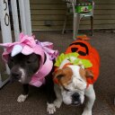 brad kohler - @bradkohler - Twitter