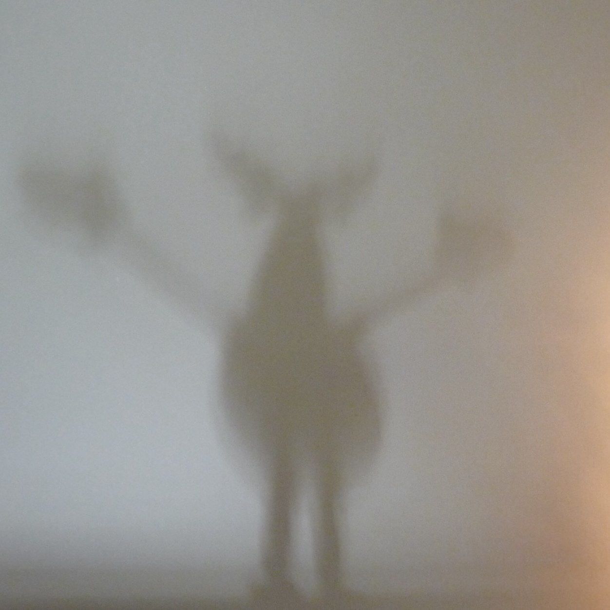 Bart_DM's profile picture. Film, fotografie, Italië, schilderkunst, slapen