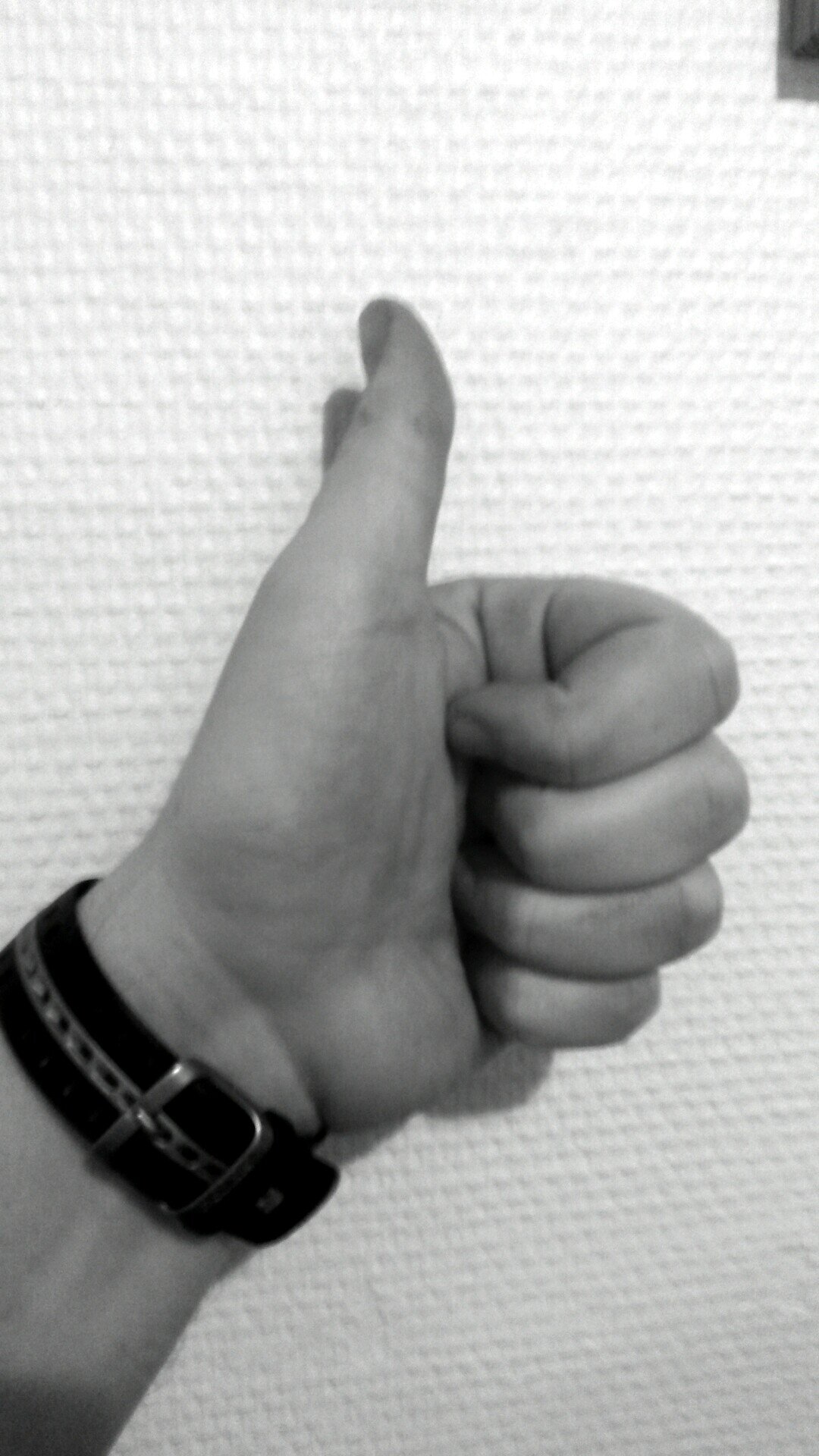 silvah87's profile picture. 