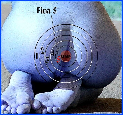 DarckFion's profile picture. 