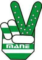 Equipo de bichas 2014 unidas a la gran familia del MANE.
#ChicasMbarete #PasiónVerde