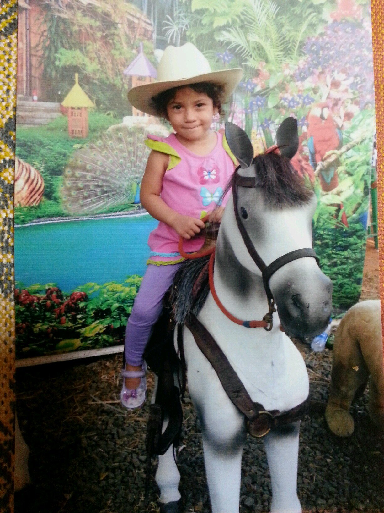 panamacrece's profile picture. 