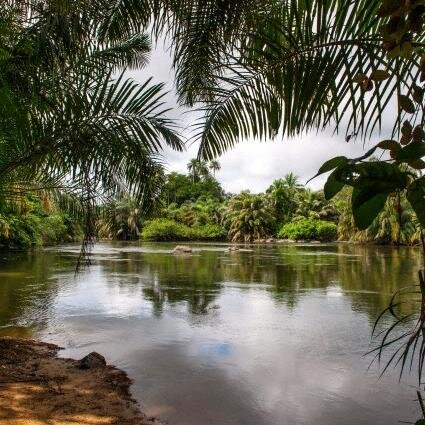 YourZambiaNC's profile picture. http://t.co/RvntKqEmo2 on Zambia