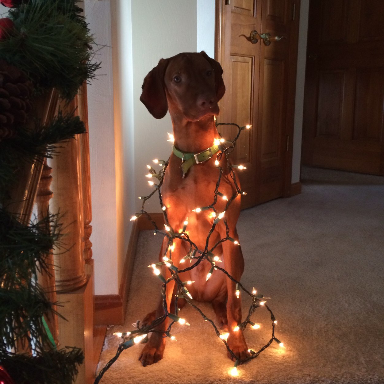 KesterMike's profile picture. 