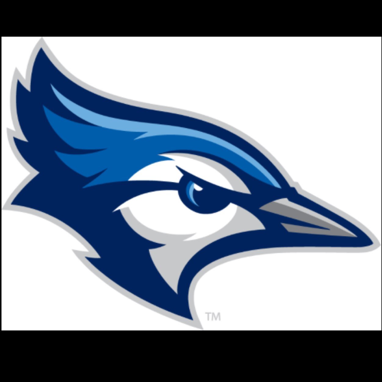 One team, One school, One goal... To start a Legacy #AYLax #JaysLacrosse