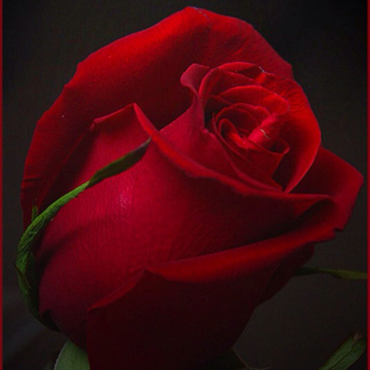 jessy622's profile picture. 