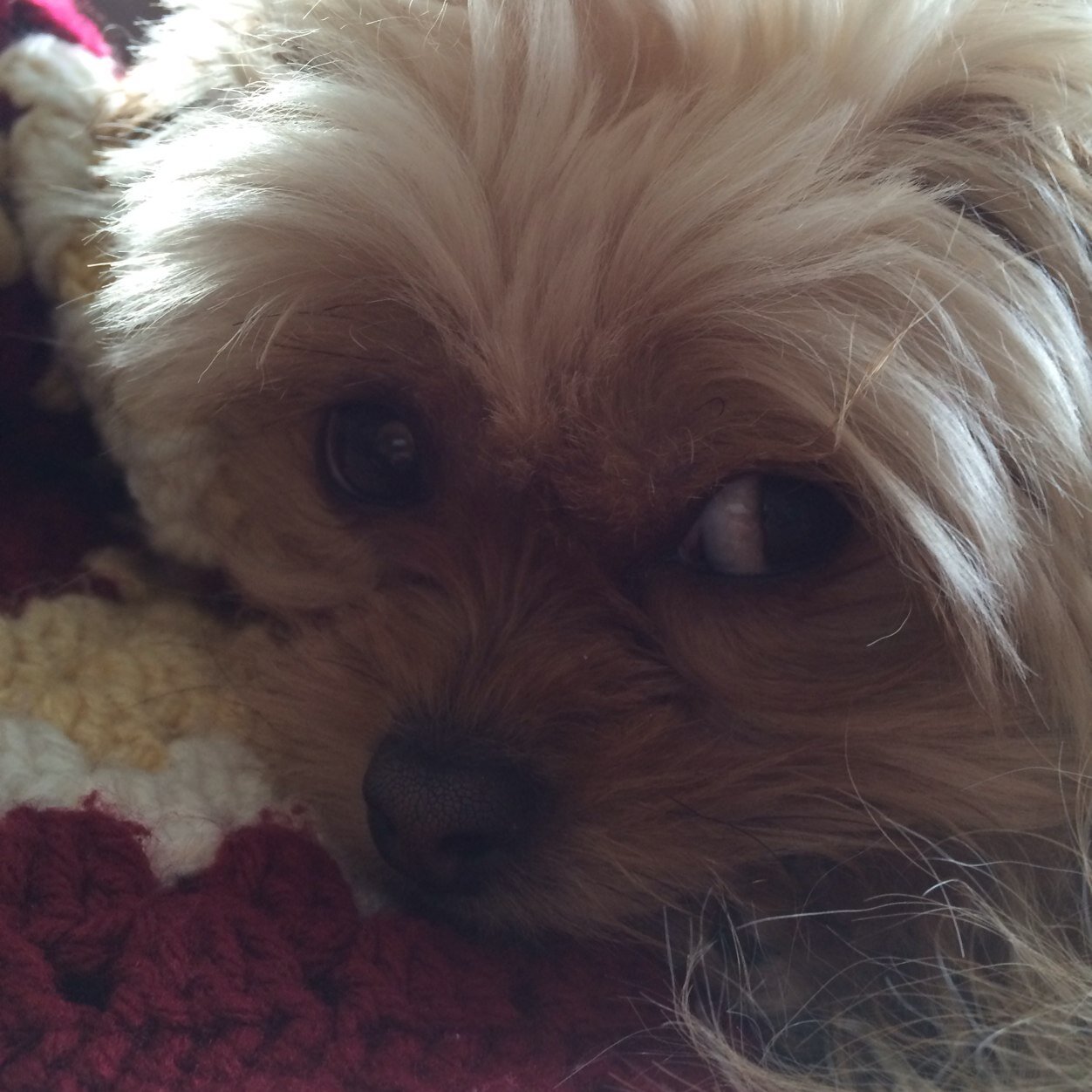 laurareetz's profile picture. 