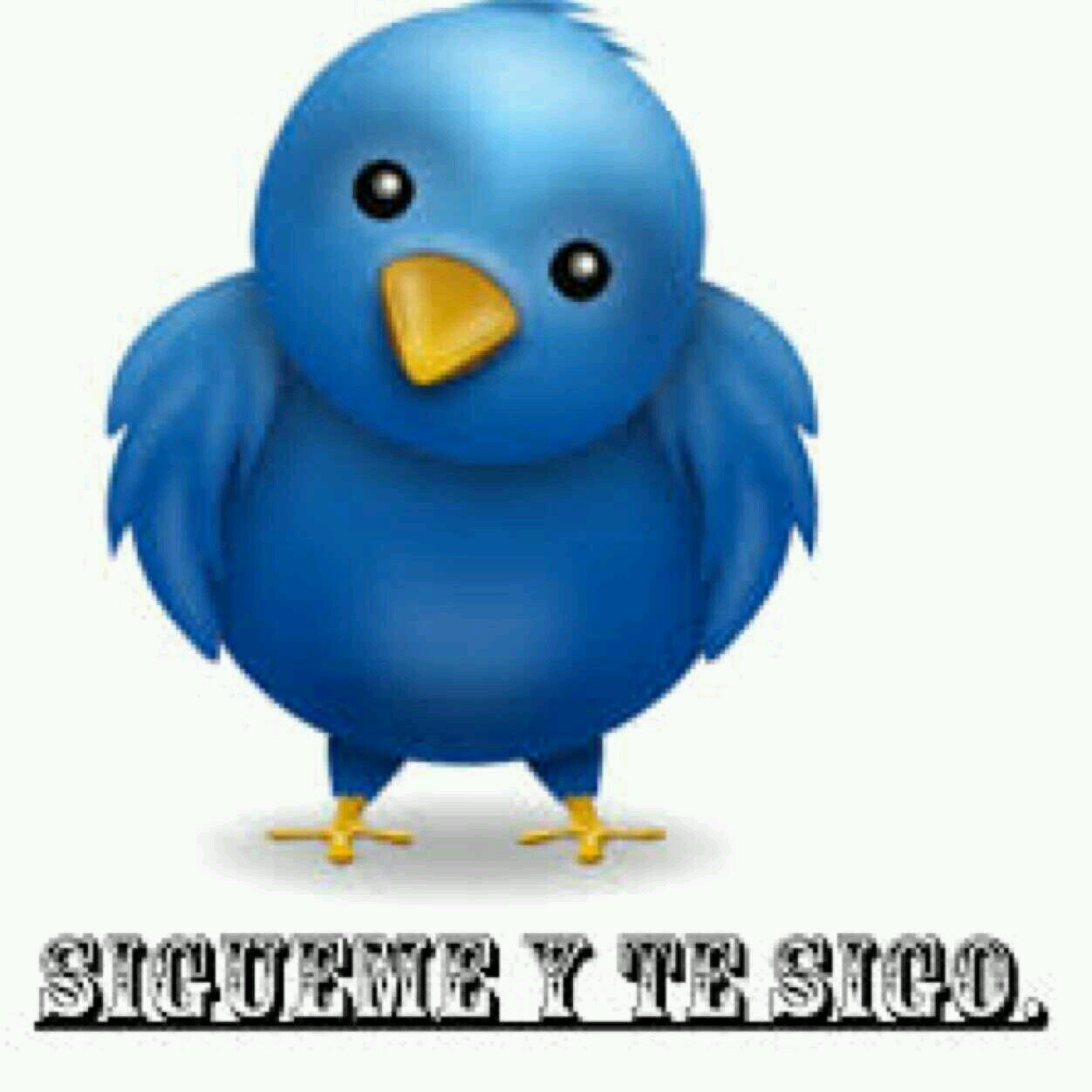 si me sigues te sigo