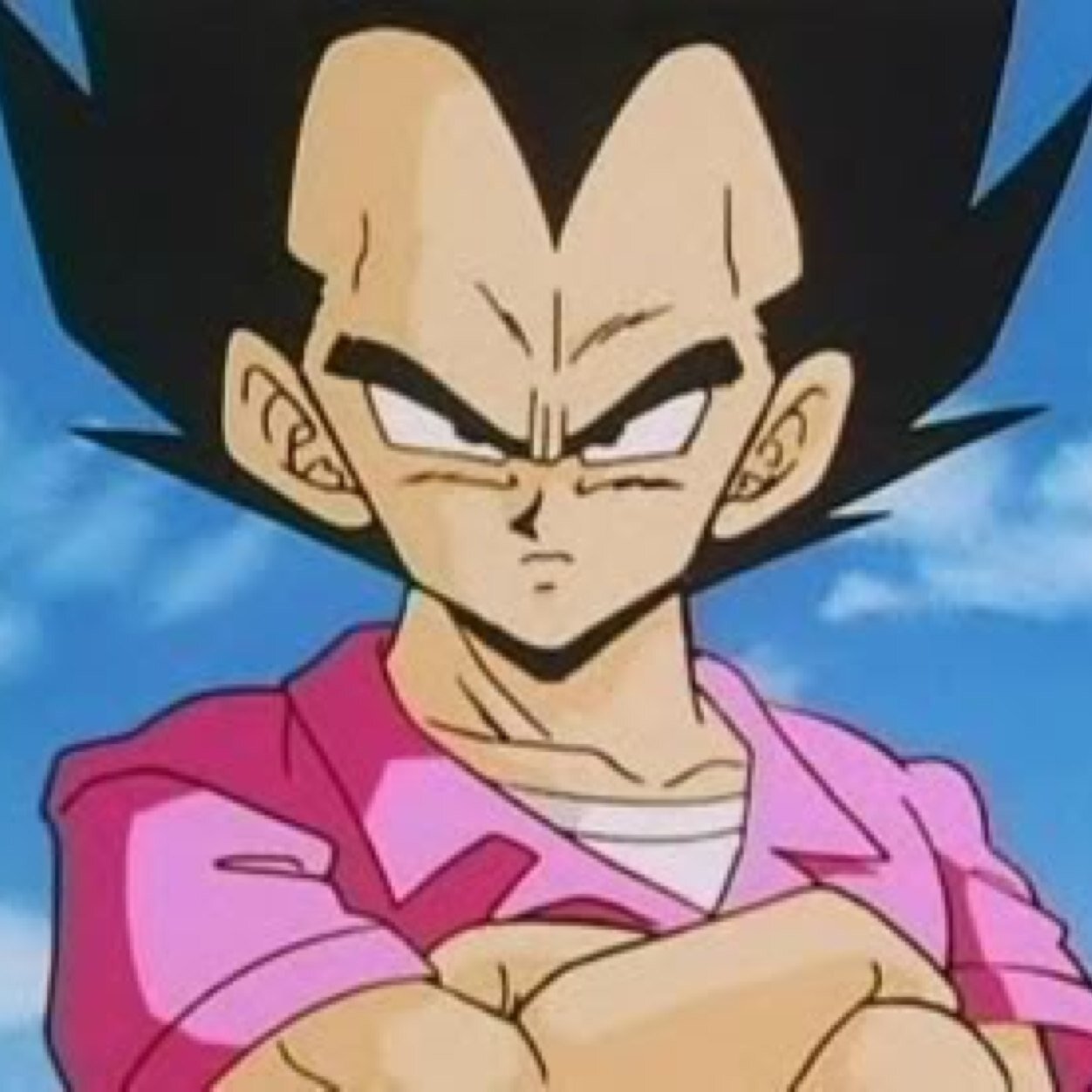 My name is vegeta and my Wife is bulma and my son is trunks and my daughter is bulla
