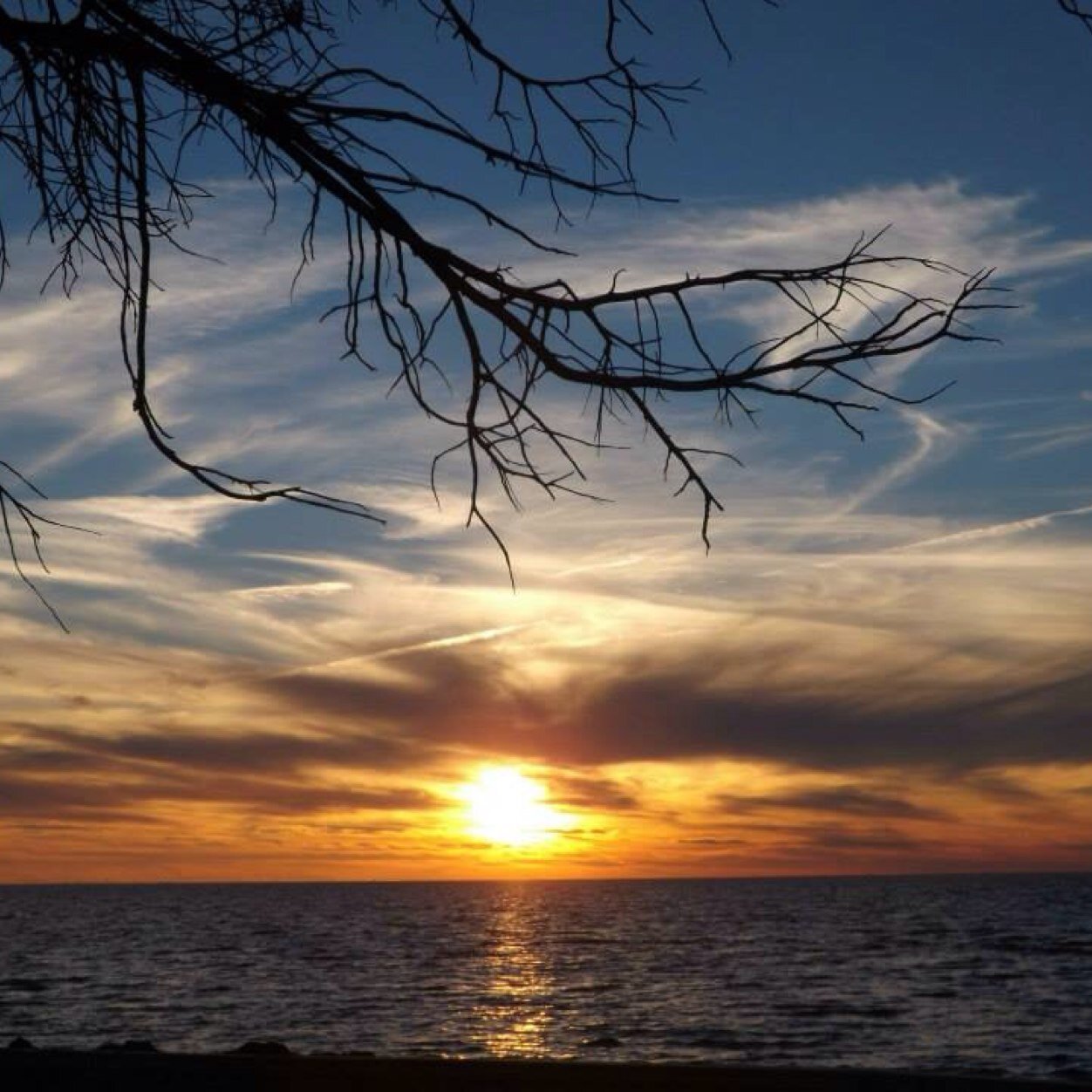 Kel_E_Sue's profile picture. 