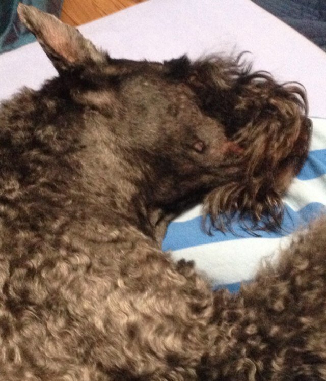 JuhaPaimio's profile picture. 