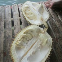 Pekalongan (@pekalongan) 's Twitter Profile