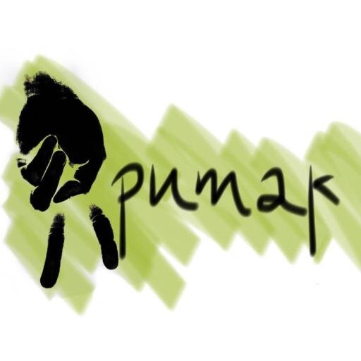 aso_apumak Profile Picture