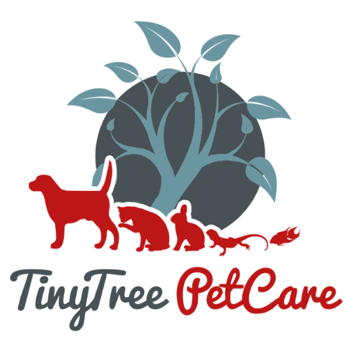 TinyTreePetCare's profile picture. Providing animal care for all animals. Dog walking, doggy day care, home visits and puppy visits.