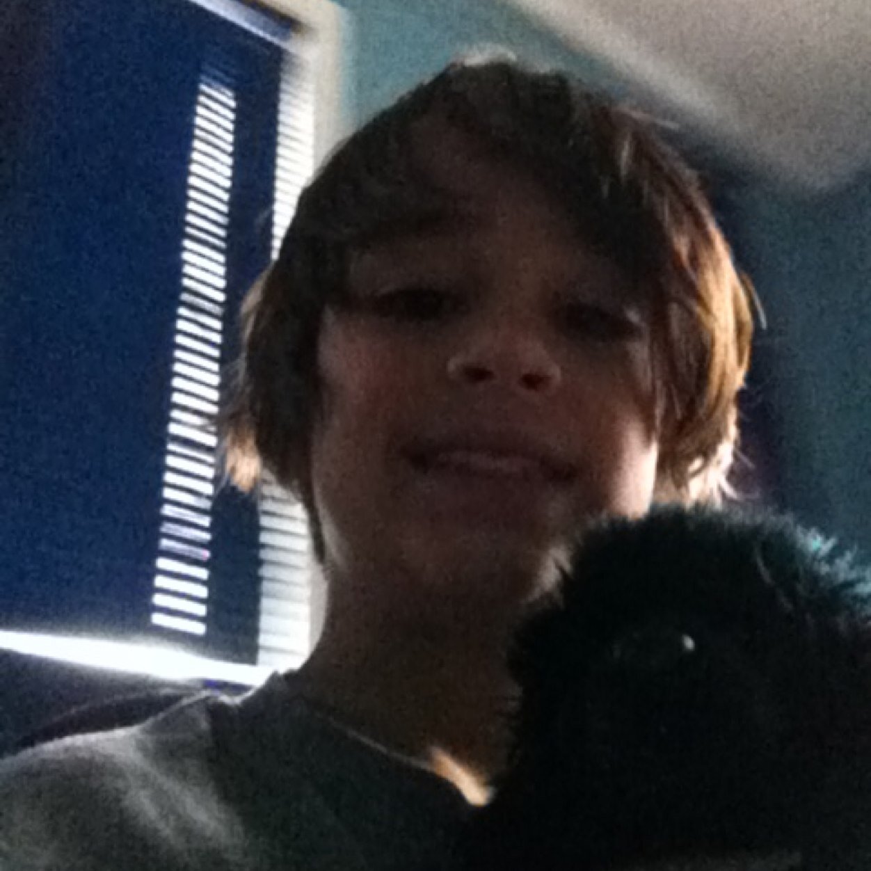 AHsalamander's profile picture. THE SALAMANDER